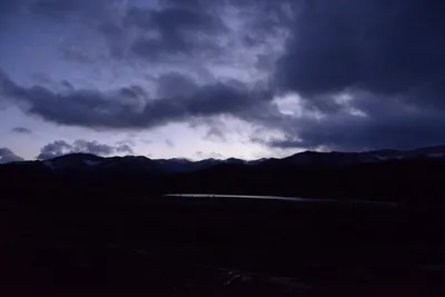 DSC_0993 (Large).JPG